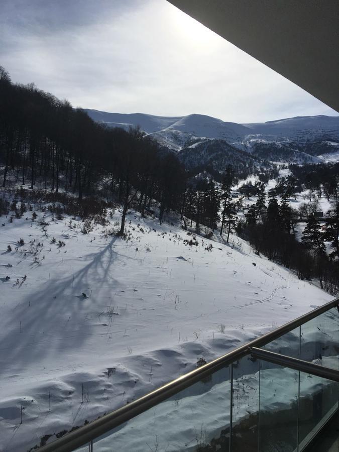 Orbi Bakuriani Apartment ภายนอก รูปภาพ